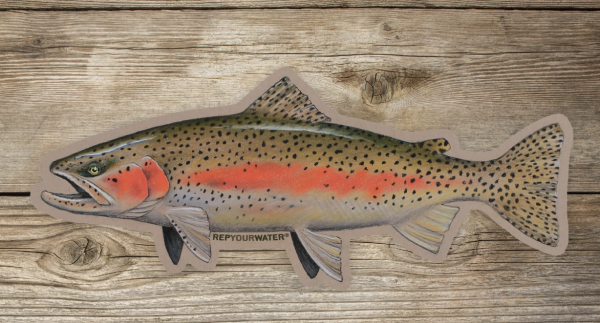 Rep Your Water Wild Rainbow Artist Reserve Sticker
